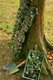 Bild zu Brassica oleracea gemmifera - Flower sprout