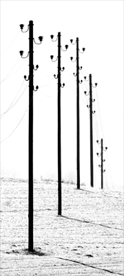 Telegraphenmasten in winterlichem Feld
