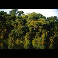 Parklandschaft, Campo Muro, Brasilien